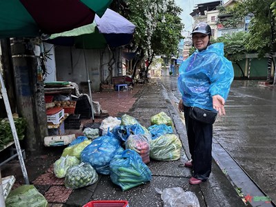 Gallery - 	Quảng Ninh trước bão số 3